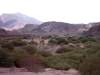 cafayate19.jpg