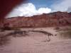 cafayate29.jpg