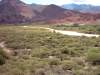 cafayate6.jpg