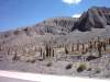 salta10.jpg