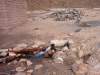 salta4.jpg