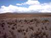 saltajujuy21.jpg