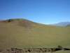 tafi19.jpg