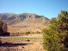IMAGE0014.JPG.JPG