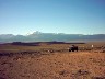 IMAGE0021.JPG.JPG