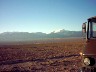 IMAGE0023.JPG.JPG