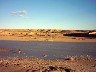 IMAGE0038.JPG.JPG