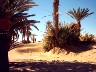 IMAGE40003.JPG.JPG