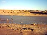 IMAGE80043.JPG.JPG