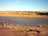 IMAGE90039.JPG.JPG
