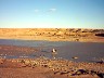 IMAGE90042.JPG.JPG
