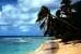Links zu Ferien und Reisen